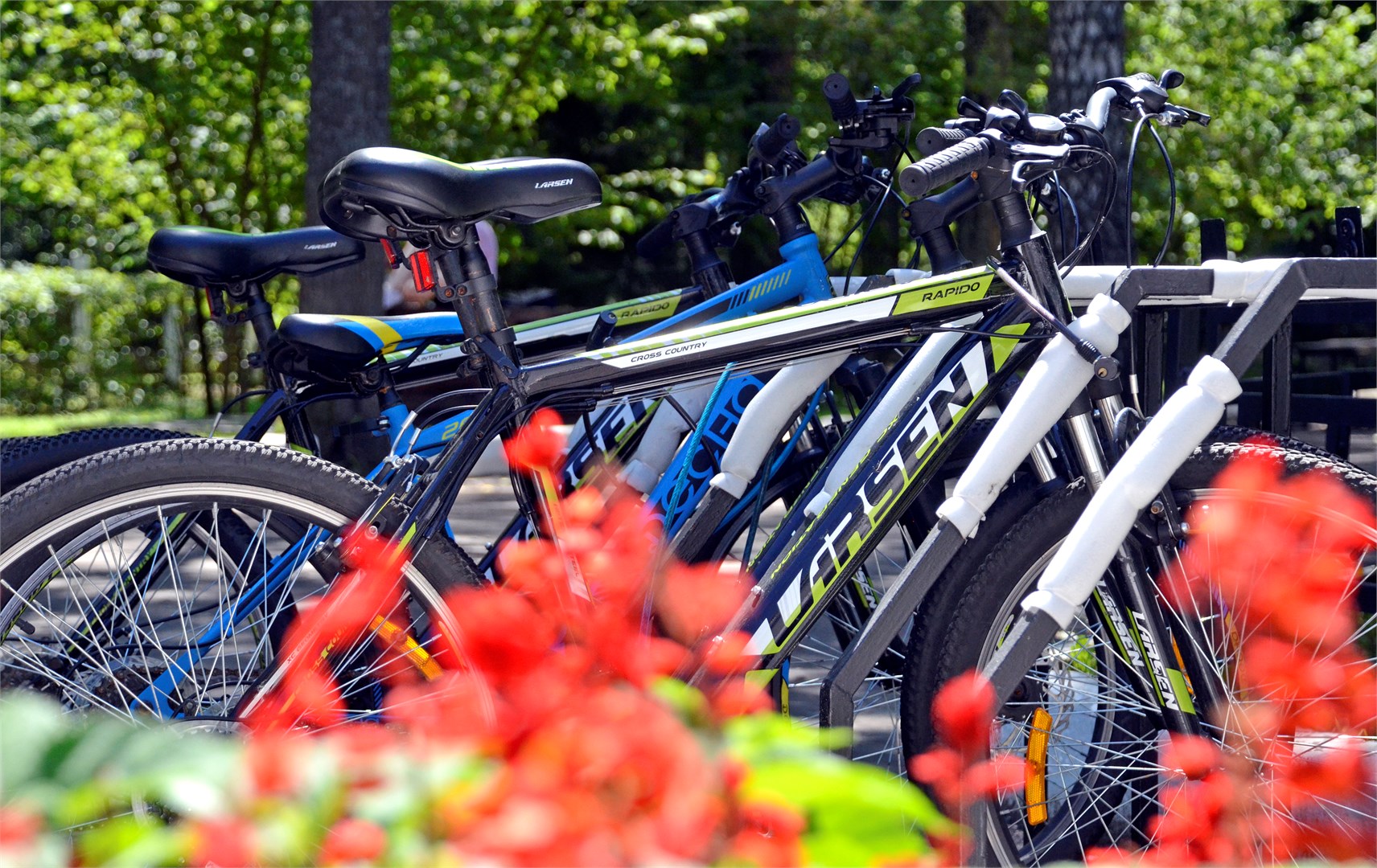 Новая Ляда: Санаторий Энергетик