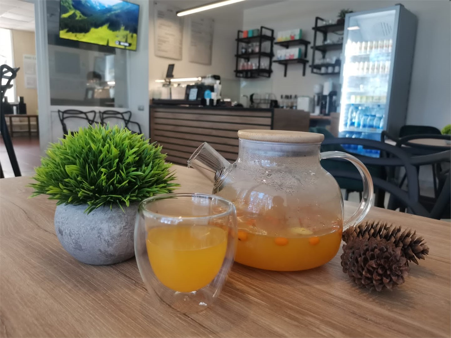 Димитровград: Санаторий Сосновый Бор