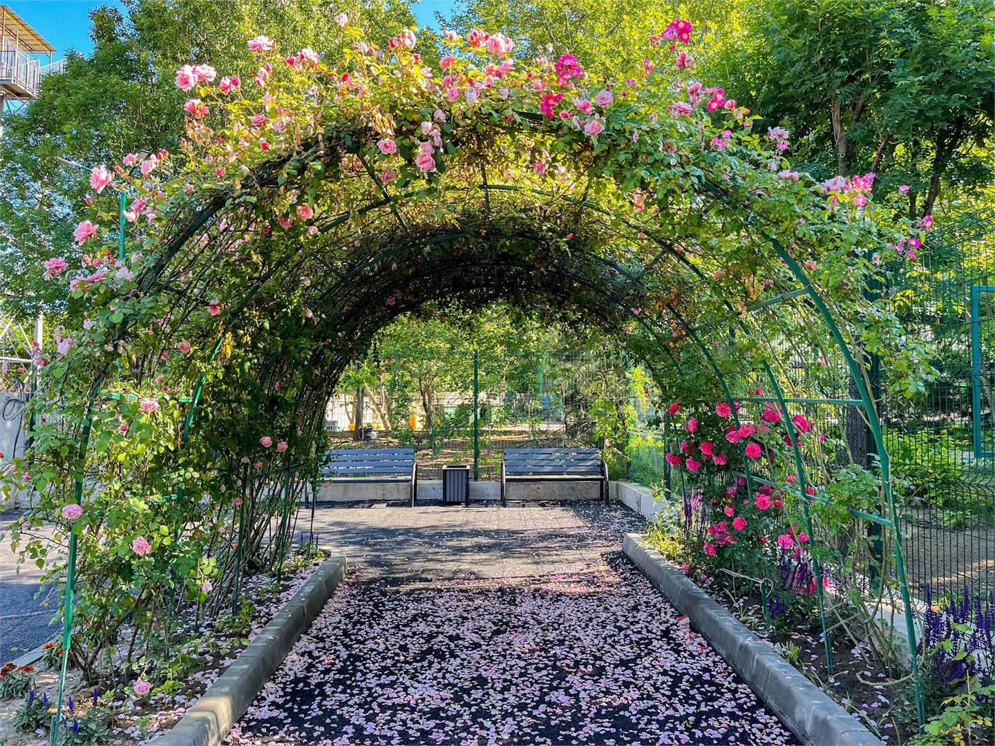 Джубга: Санаторий Звёздочка