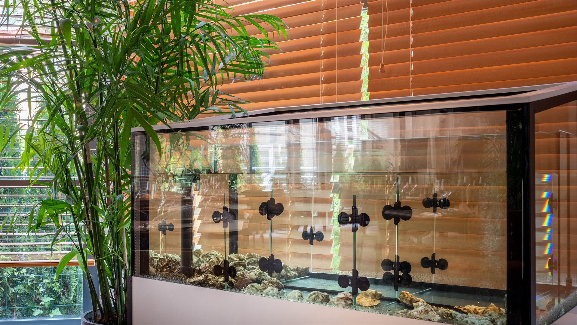 Отель Amber Shore Collection, фото - 45