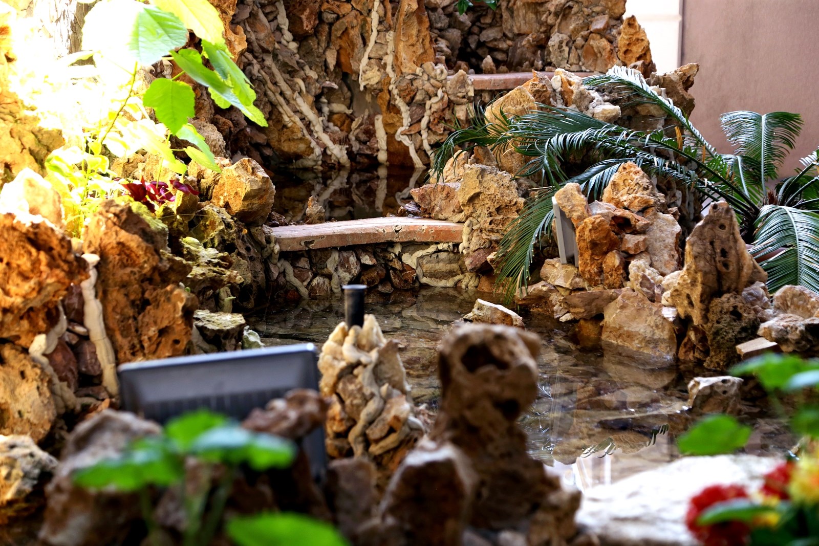 Гагра: Гостевой дом Гагра-Лазурная