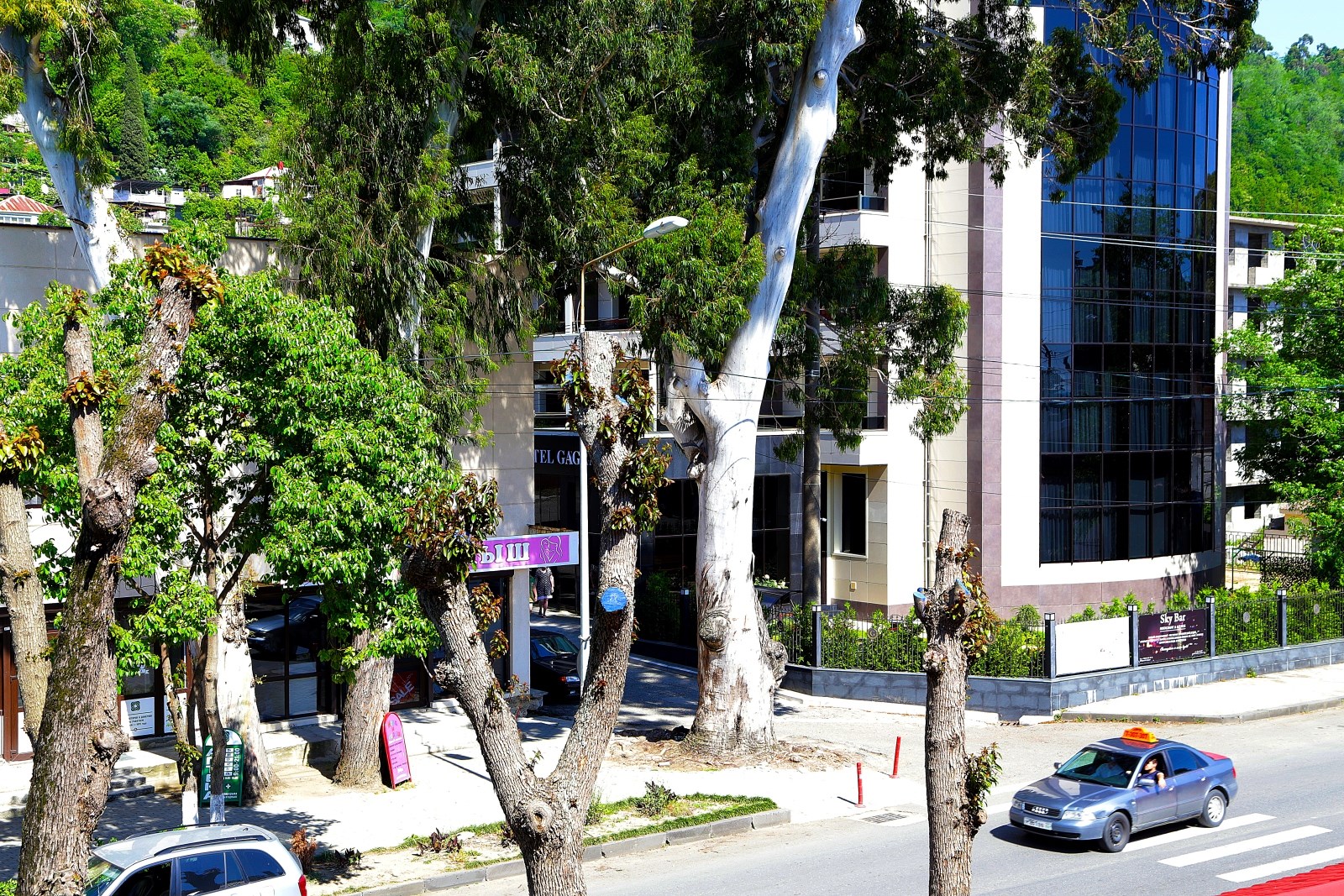 Гагра: Гостевой дом Гагра-Лазурная