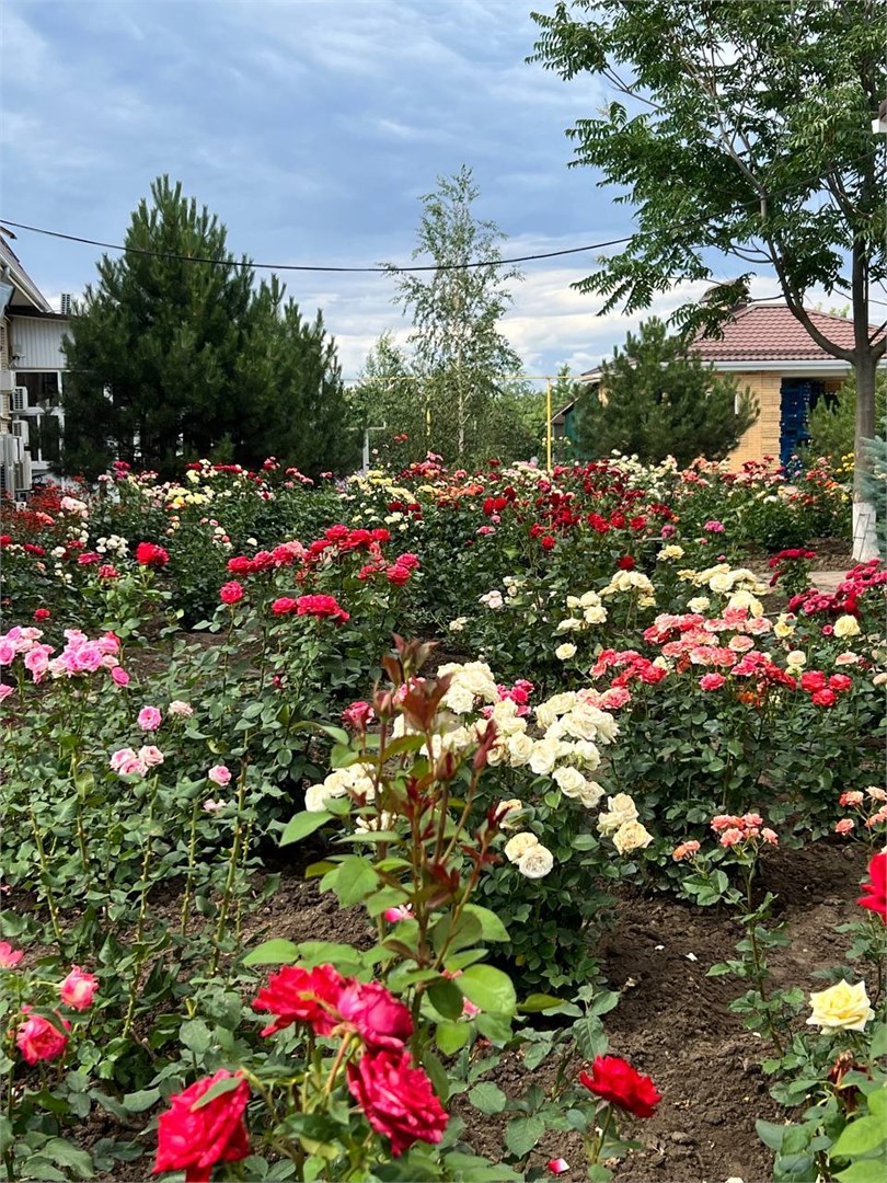 Семикаракорск: Отель Усадьба Юзефова