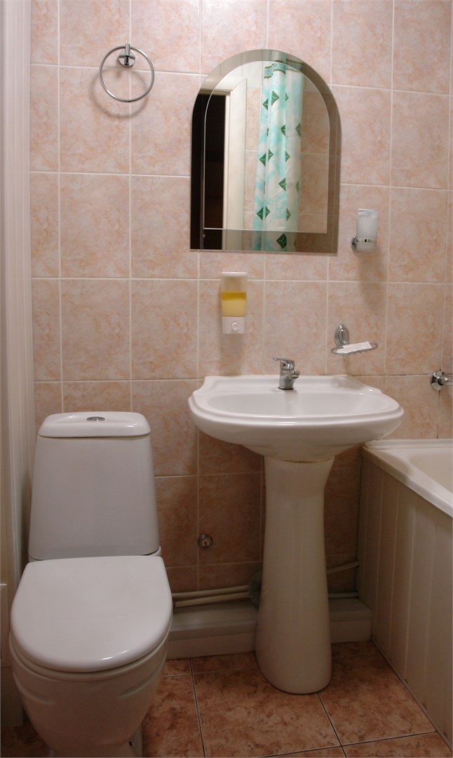 Одноместный "Эконом" в Профсоюзная