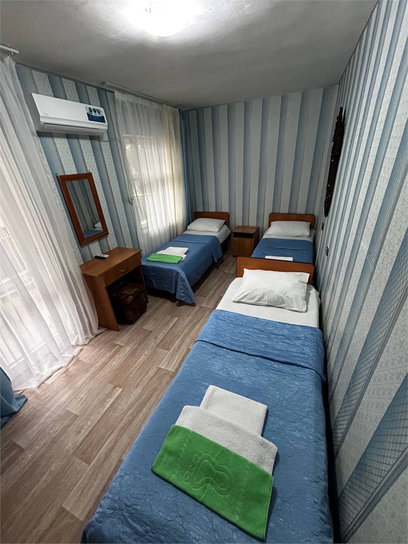 Стандарт+ 3-х местный. ТВ, холодильник, сплитсистема в Химик