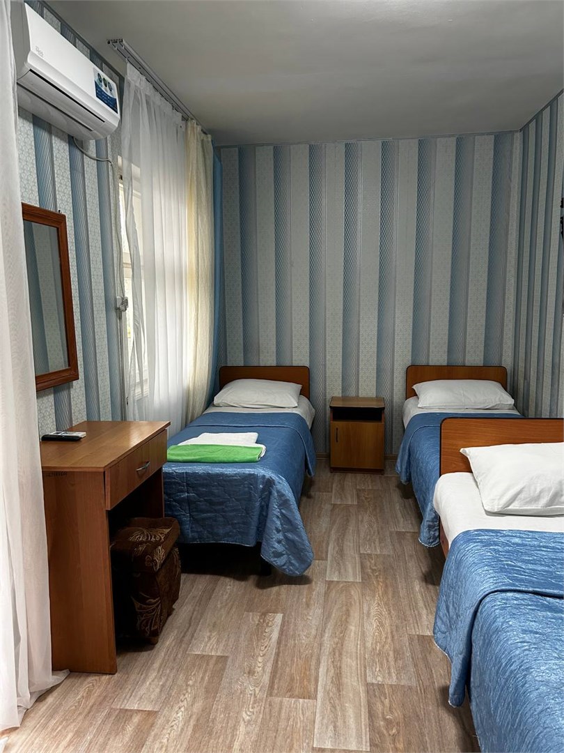 Стандарт+ 3-х местный. ТВ, холодильник, сплитсистема в Химик