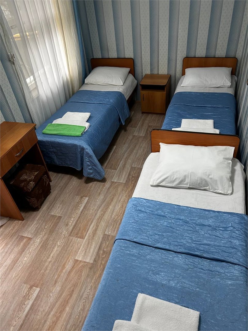 Стандарт+ 3-х местный. ТВ, холодильник, сплитсистема в Химик