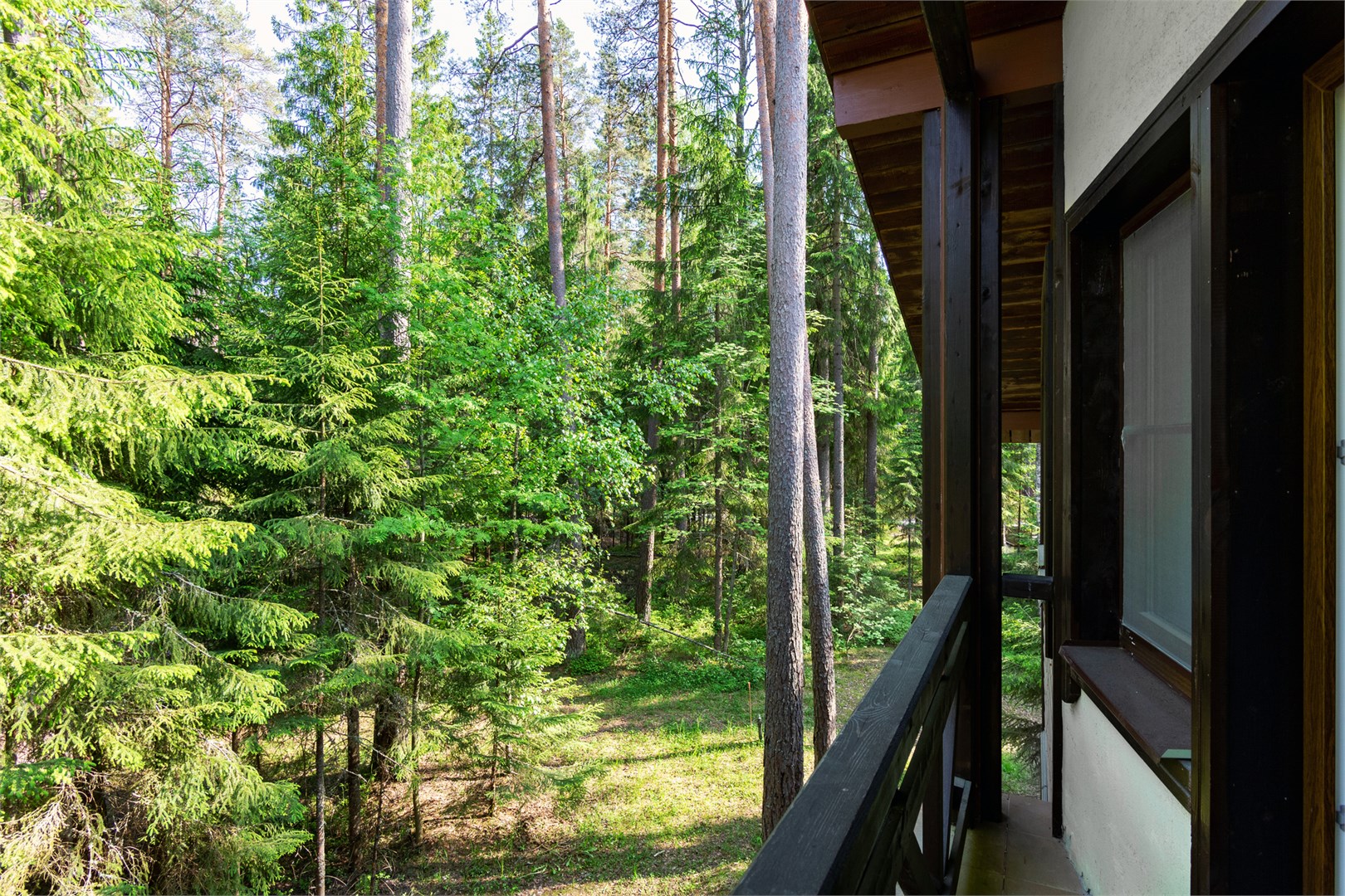 Апартаменты в коттедже «Озерный» с сауной в Лесная рапсодия