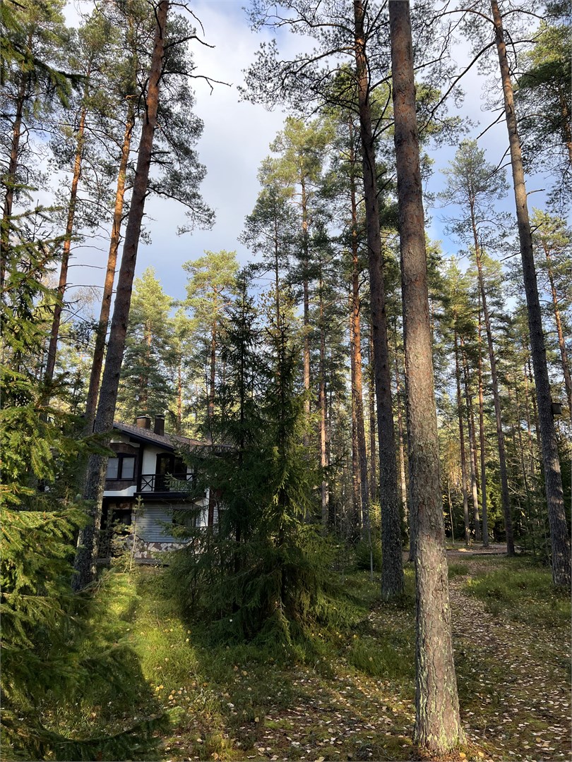 Апартаменты в коттеджах «Рапсодия» с сауной в Лесная рапсодия