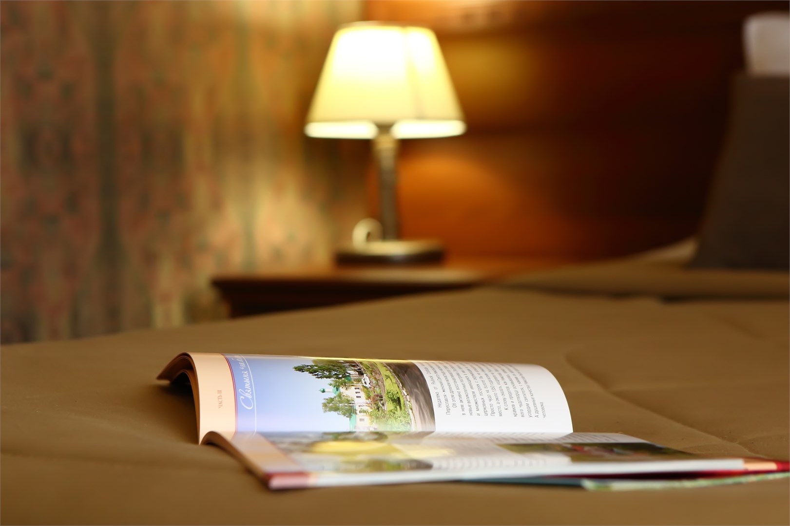 1 категория (стандарт с видом на монастырь и диваном) в Николин парк