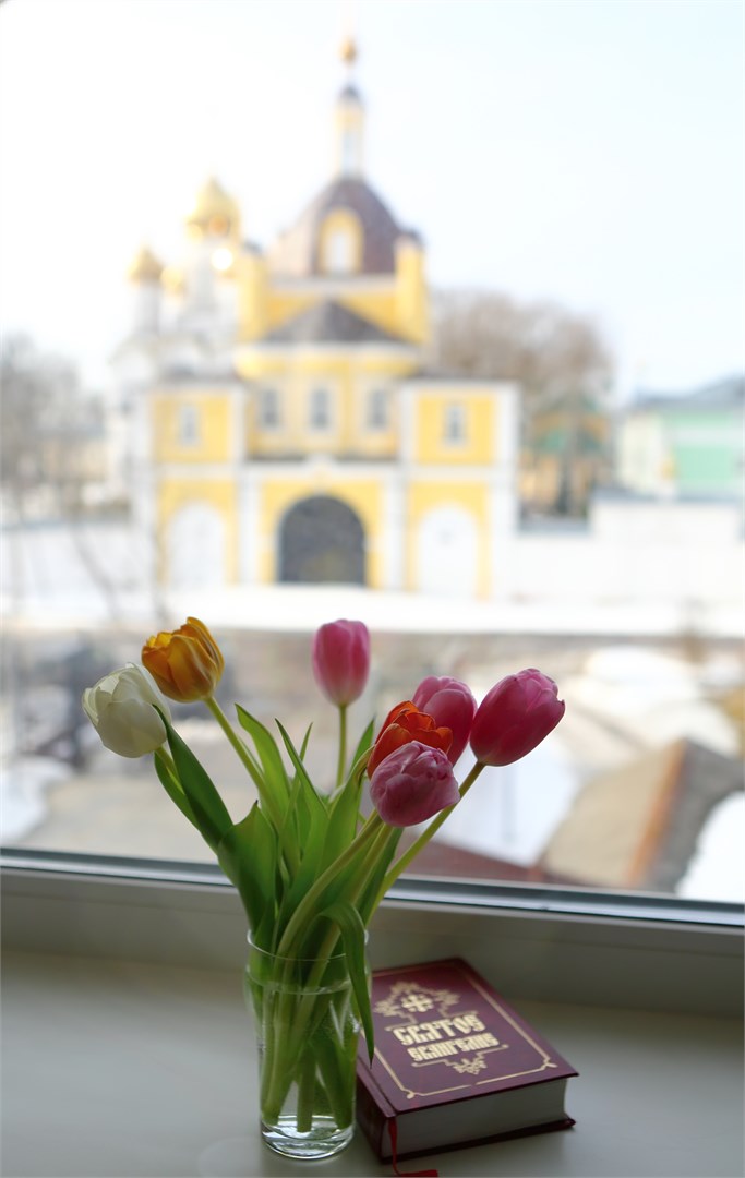 1 категория (стандарт с видом на монастырь) в Николин парк