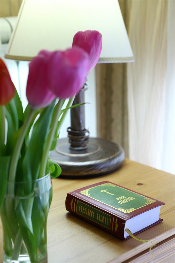 Стандарт 5 категории в Николин парк