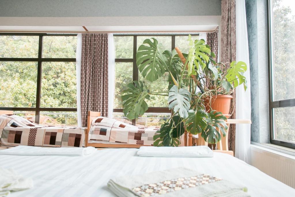 Четырёхместный номер с террасой в Колибри Beach