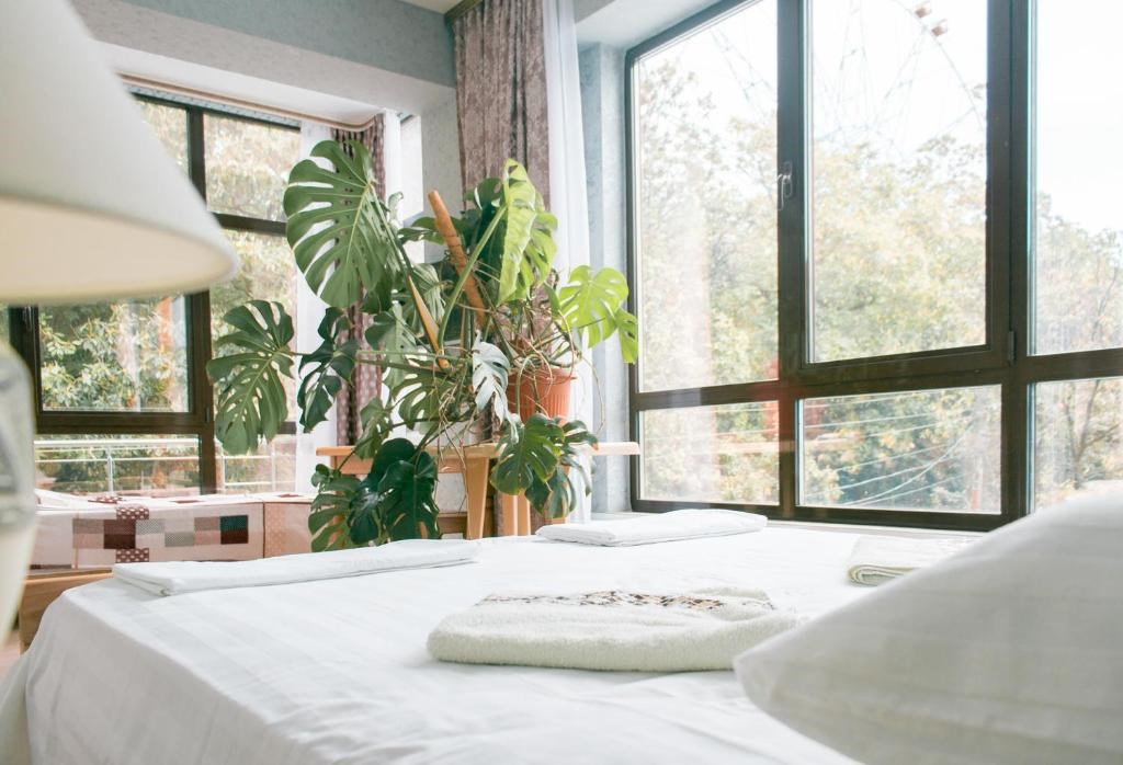 Четырёхместный номер с террасой в Колибри Beach