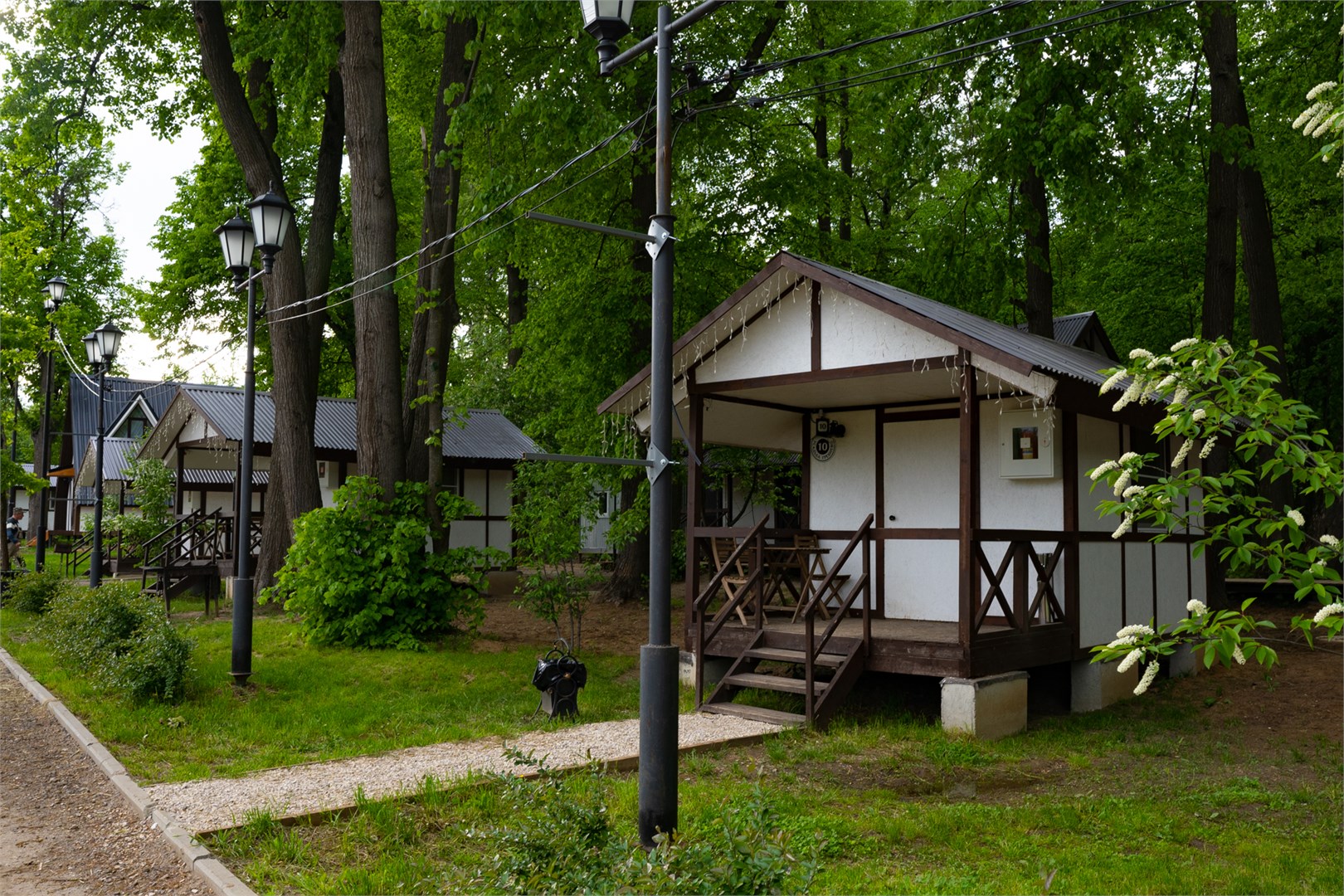 Фотография Державин