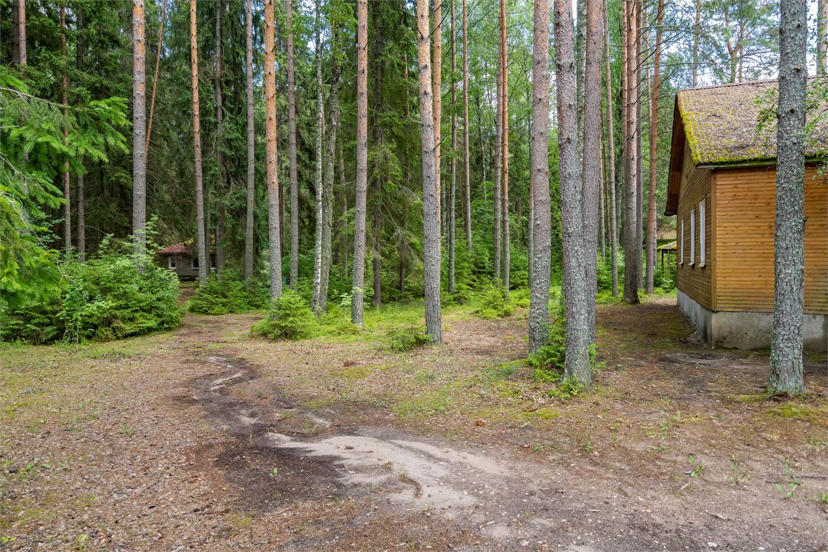 Дом 8 в Аннушка