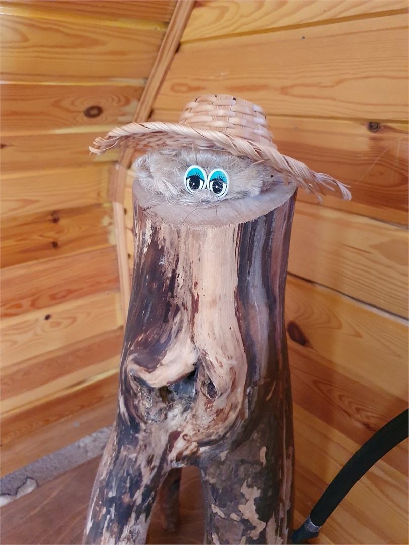 Дом с башенкой на 7 гостей в Тарховка