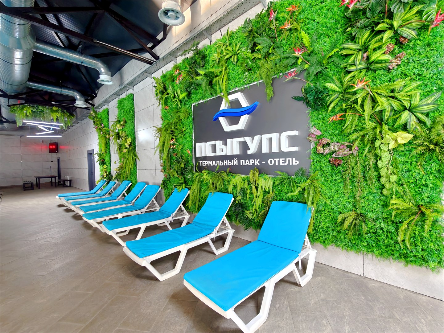 Джуниор Сюит в Псыгупс