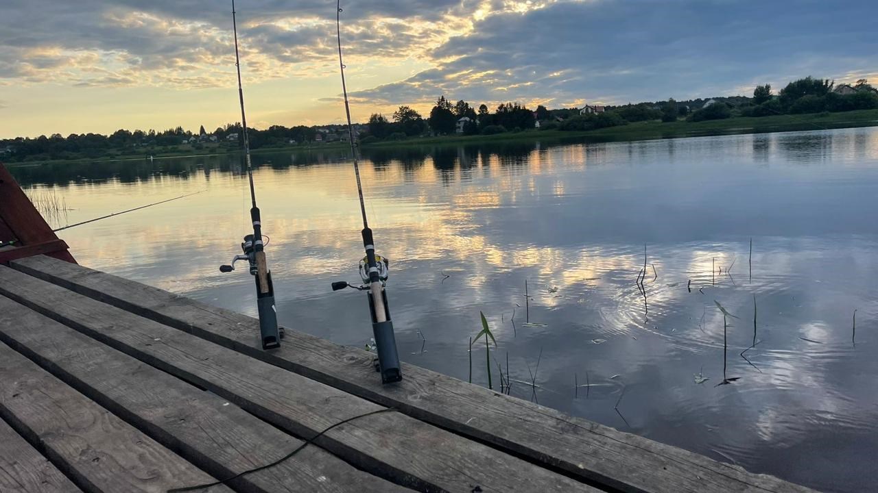 Дом  №1 д  Шевелево с видом на реку в Лиса