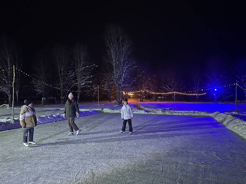 Дом №2  с сауной д Шевелево в Лиса