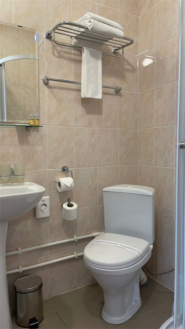 Стандарт Single в Славяночка