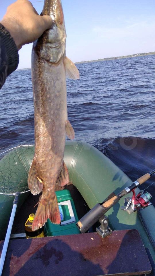 Дом на озере Ильмень д Козынево в Лиса