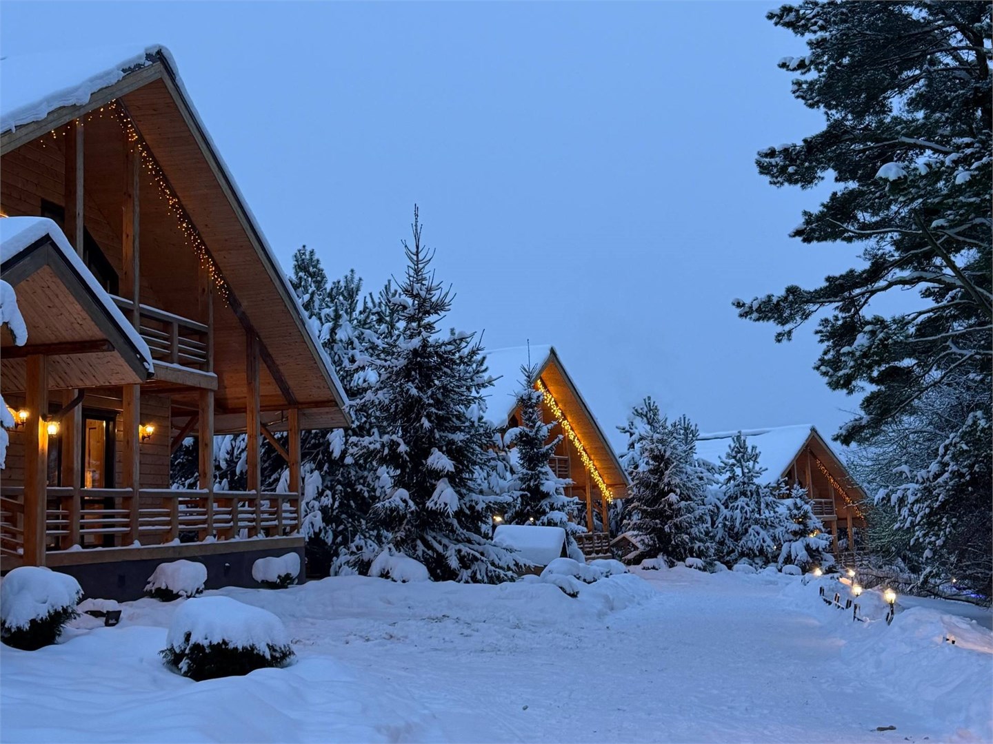 Коттедж Сосновый в Богослово