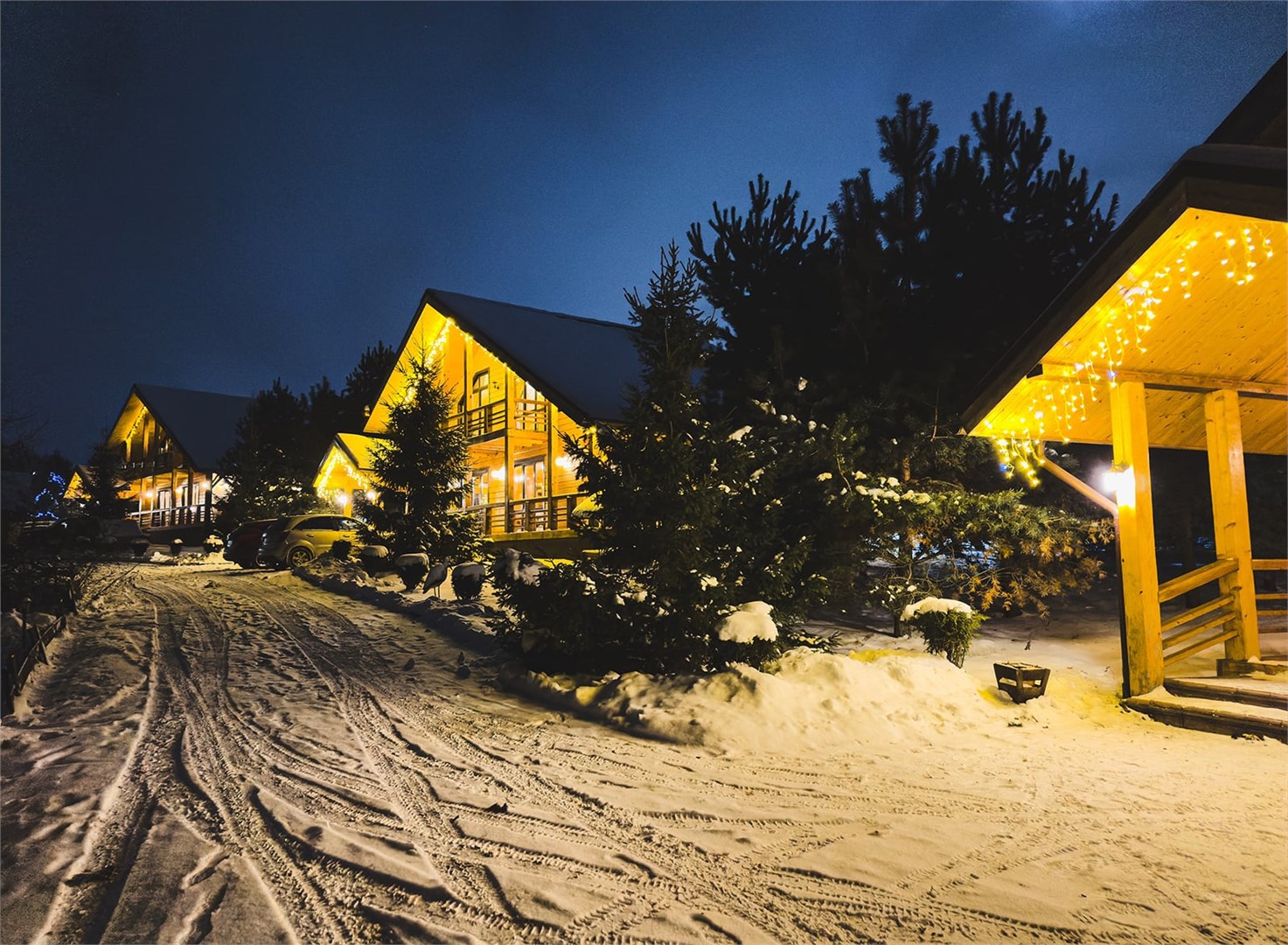 Коттедж Пихтовый в Богослово