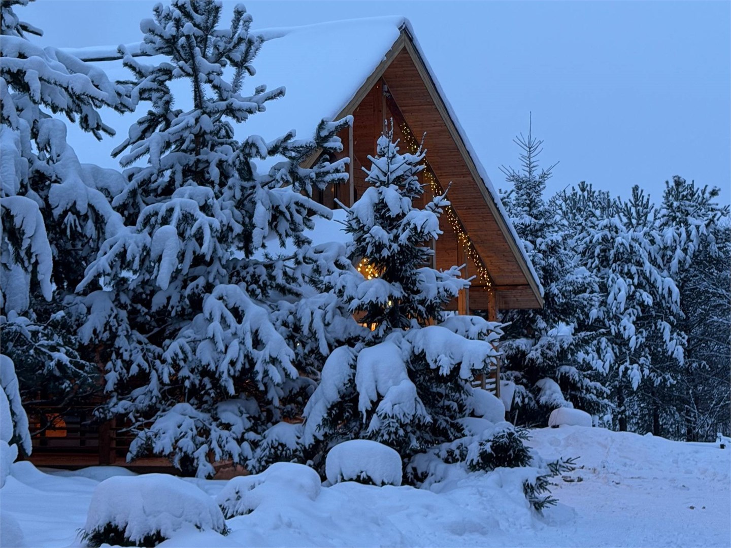 Коттедж Пихтовый в Богослово
