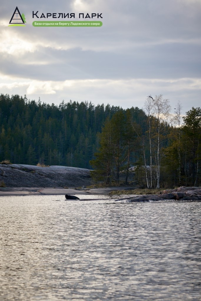 Шестиместный дом с большой террасой, банным чаном и сауной в Карелия парк