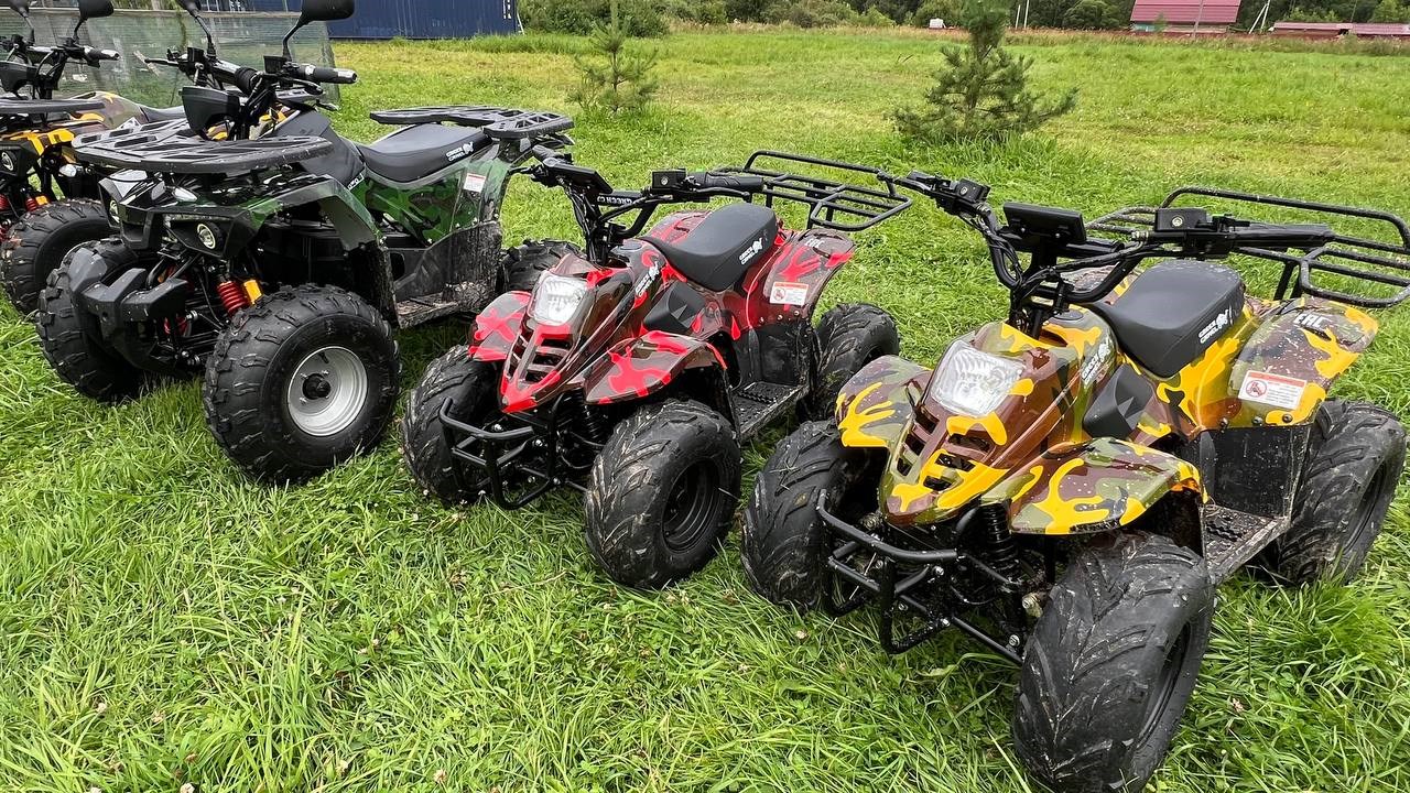 дом №3 Шевелево в Лиса