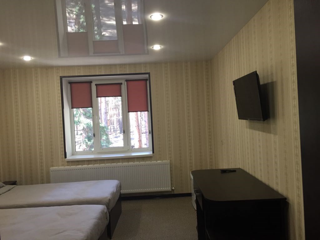 двухместный стандарт в Метелица