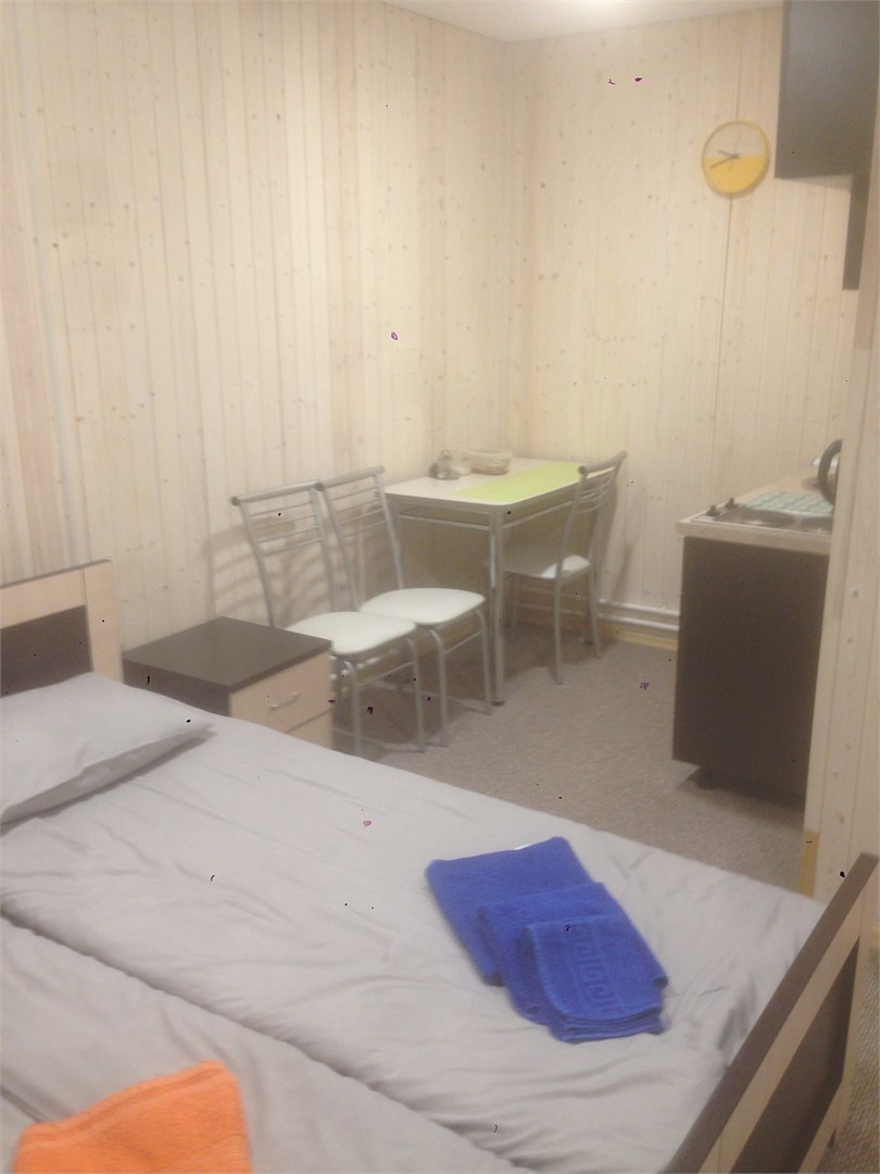 студия с кухней в Метелица