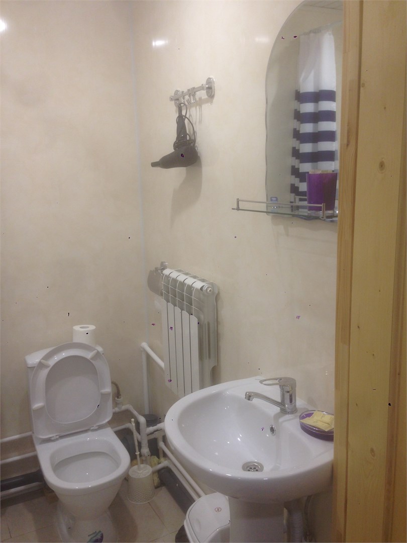 студия с кухней в Метелица