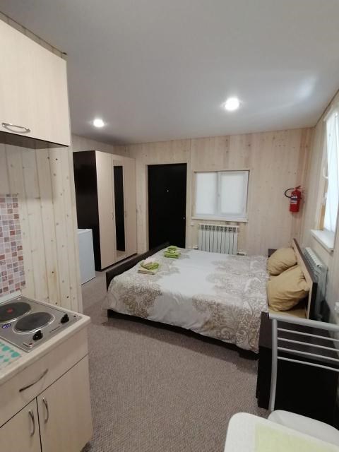 студия с кухней в Метелица