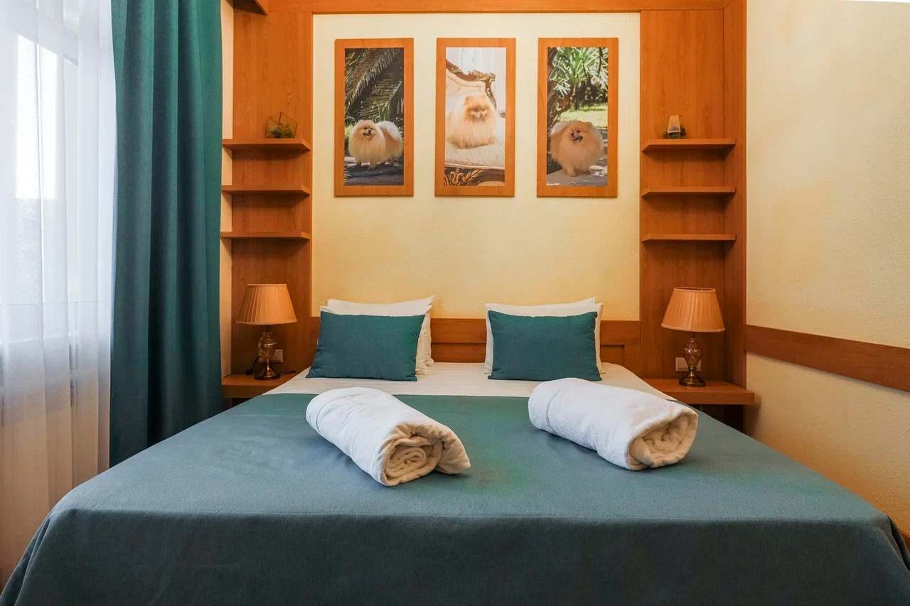 Однокомнатный Делюкс без балкона в Дворец Нарзанов