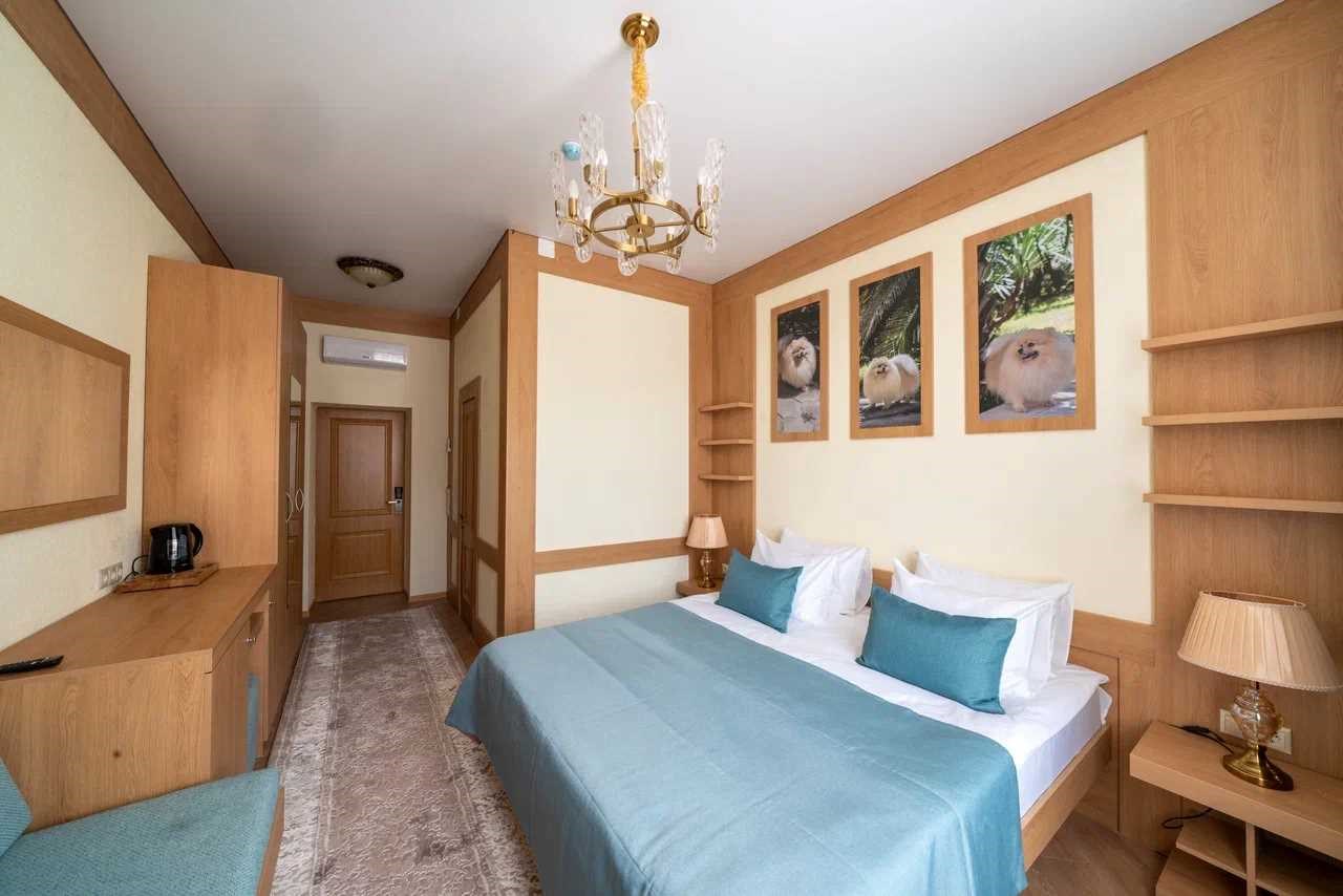 Однокомнатный Делюкс без балкона в Дворец Нарзанов