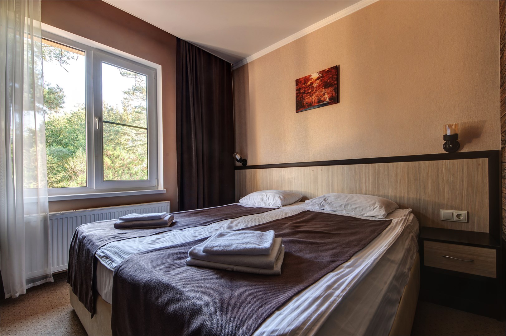 Двухместный стандарт в Павлова поляна