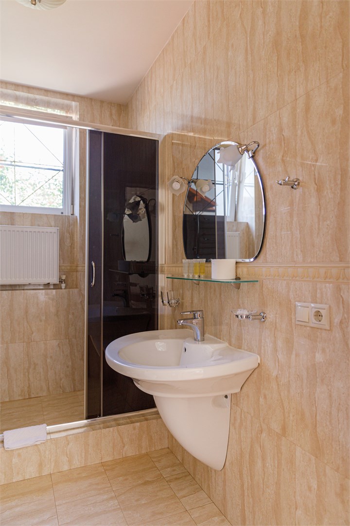 Полулюкс в AvroraSpaHotel