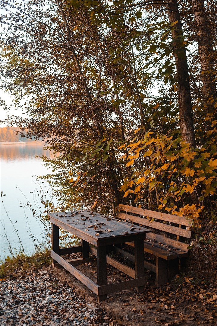 A-Frame в Вежи Волжские