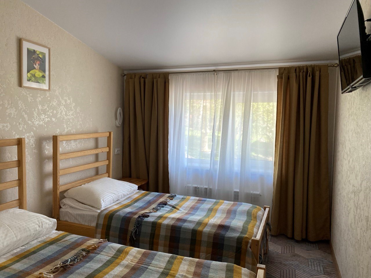 Фотография Пчёлки, 1