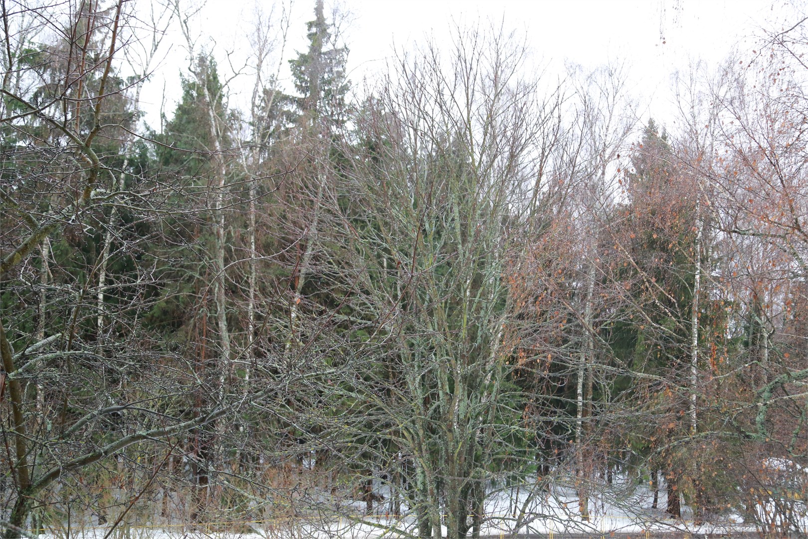 Апартамент с кухней / 2 корпус "Урал" в Десна