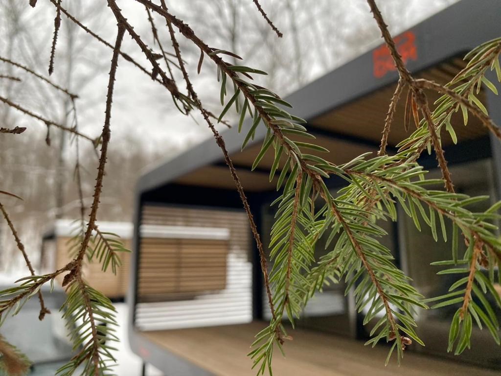 Бунгало Стандарт в РЖДЗ Санаторий Буран