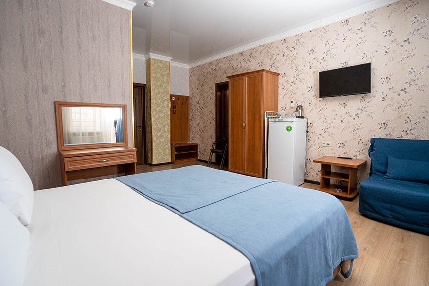 1-комнатный 2-местный Стандарт в Мишель