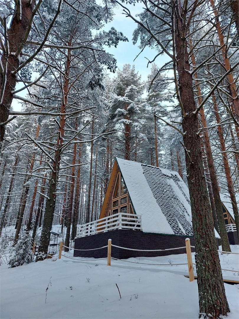 Семейный коттедж с террасой и панорамным остеклением в Морошка