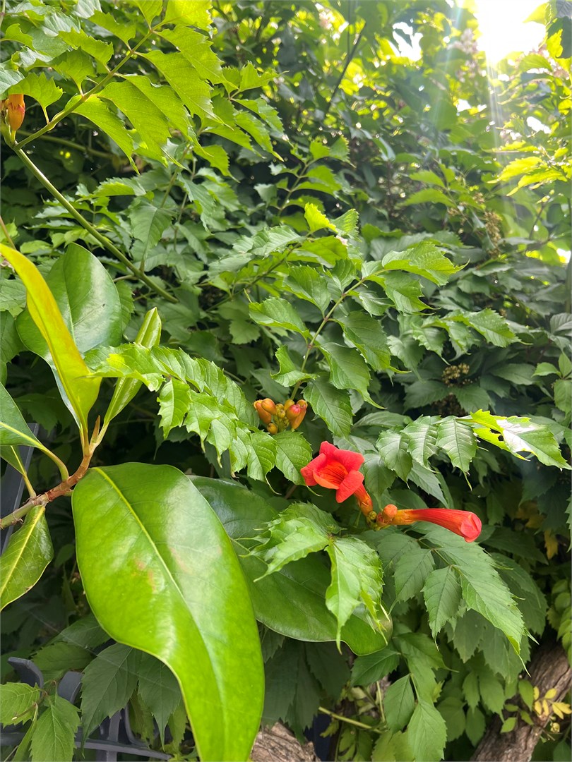 Стандартный двухместный с двуспальной кроватью и 1 дополнительным местом, без балкона в Казачок