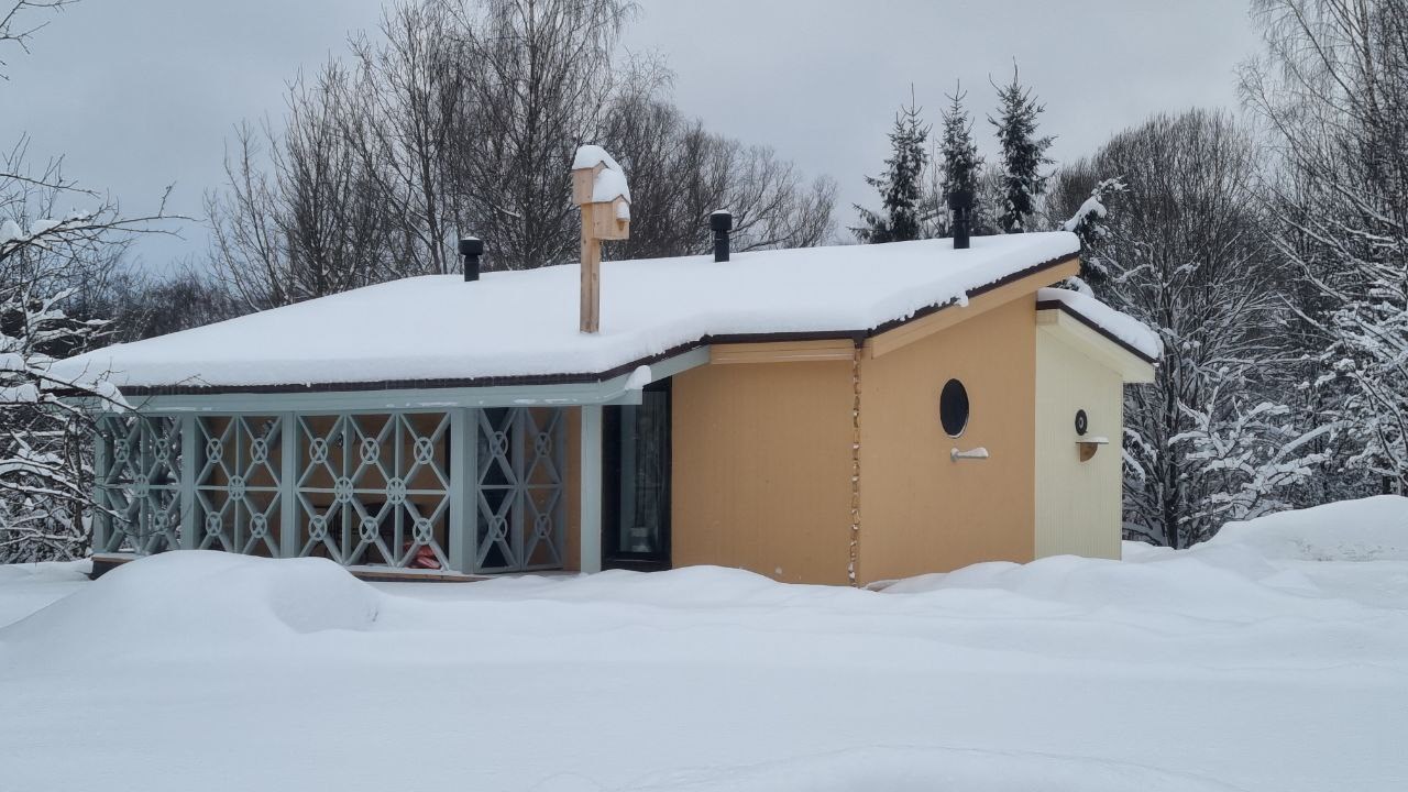 арт-дом  «Дворец-Скворец», автор Михаил Скворцов в Никола-ленивец