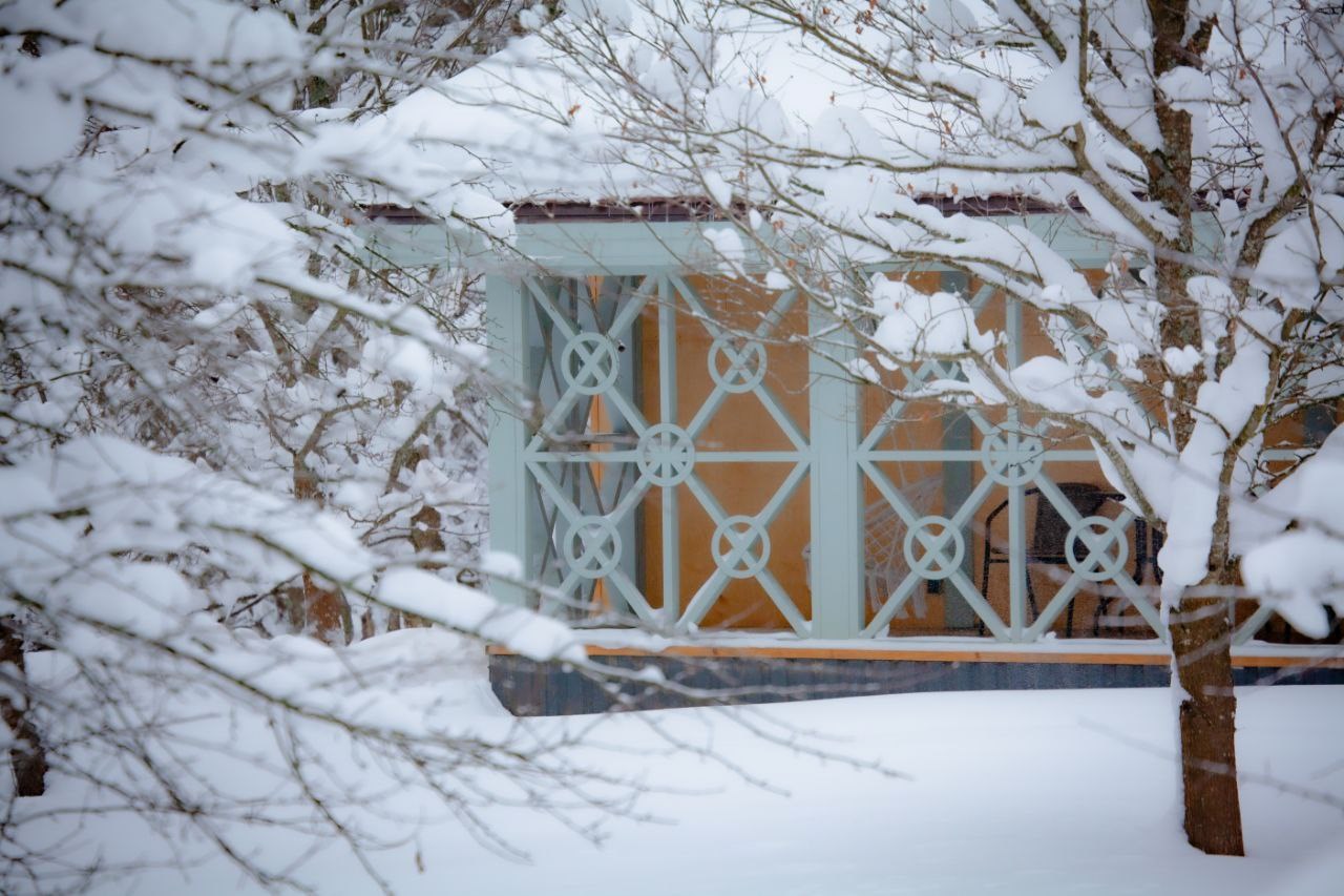 арт-дом  «Дворец-Скворец», автор Михаил Скворцов в Никола-ленивец