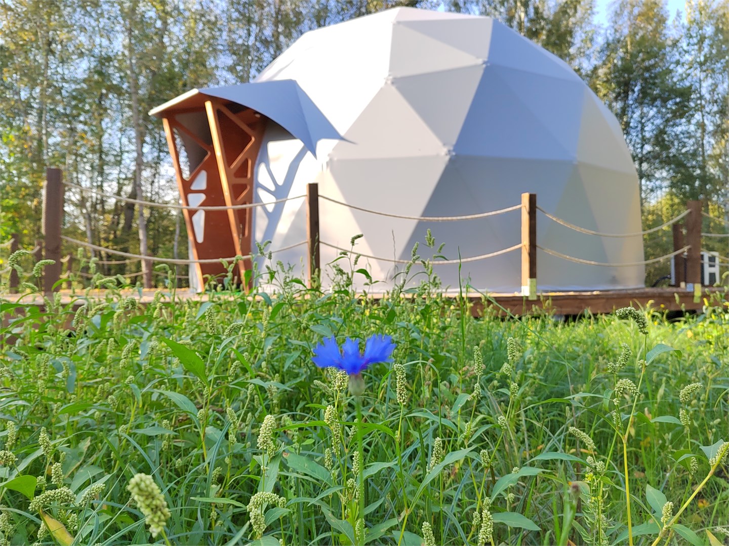 Сфера в Князь Гвидон