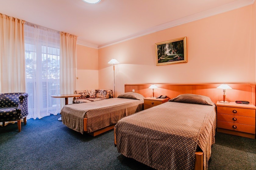 Стандарт 2-местный TWIN (I категория) 2 корпус в Azimut Здоровье Зеленый Гай